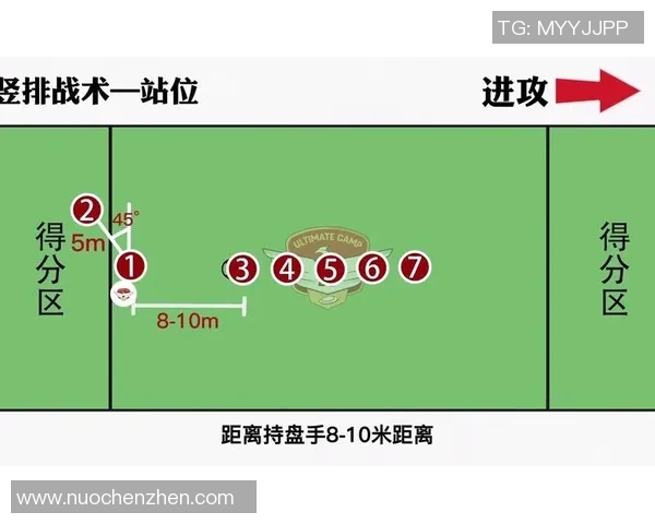 南京飞盘队的战术解析与控制技巧深度探讨